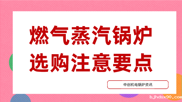 燃气蒸汽锅炉