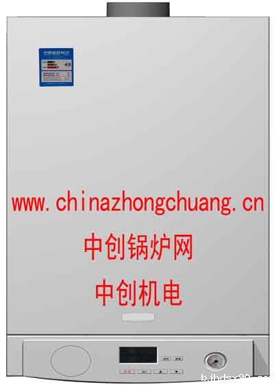 燃气壁挂炉